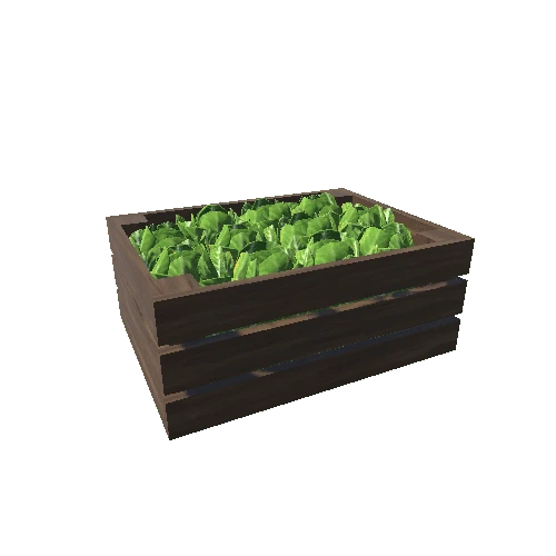 Lettuce Box